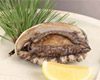 Black abalone