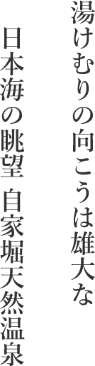 湯けむりの向こうは雄大な
　日本海の眺望 自家堀天然温泉