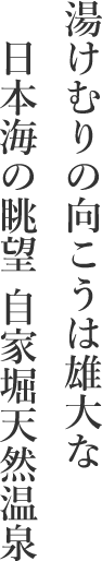 湯けむりの向こうは雄大な
　日本海の眺望 自家堀天然温泉